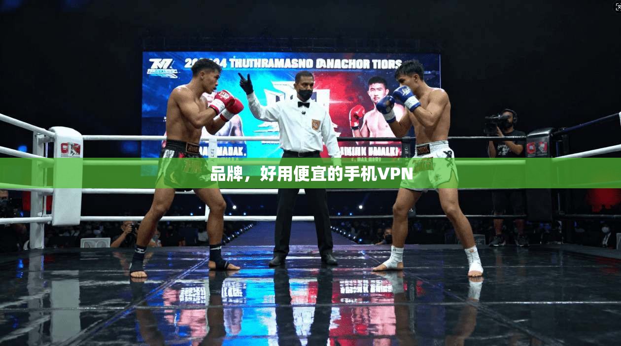 品牌，好用便宜的手机VPN
