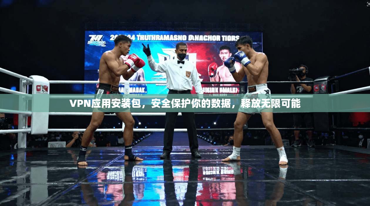 VPN应用安装包，安全保护你的数据，释放无限可能
