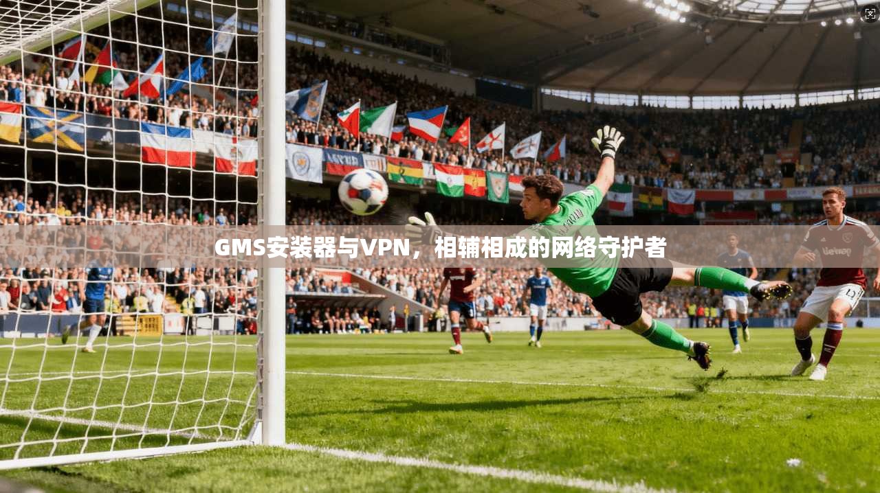 GMS安装器与VPN，相辅相成的网络守护者