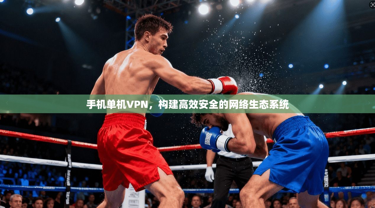 手机单机VPN，构建高效安全的网络生态系统