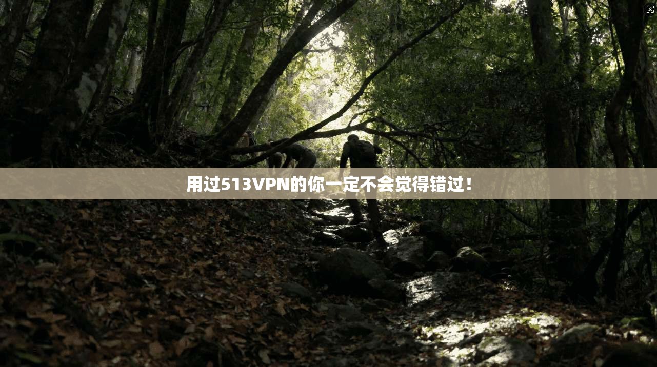 用过513VPN的你一定不会觉得错过！