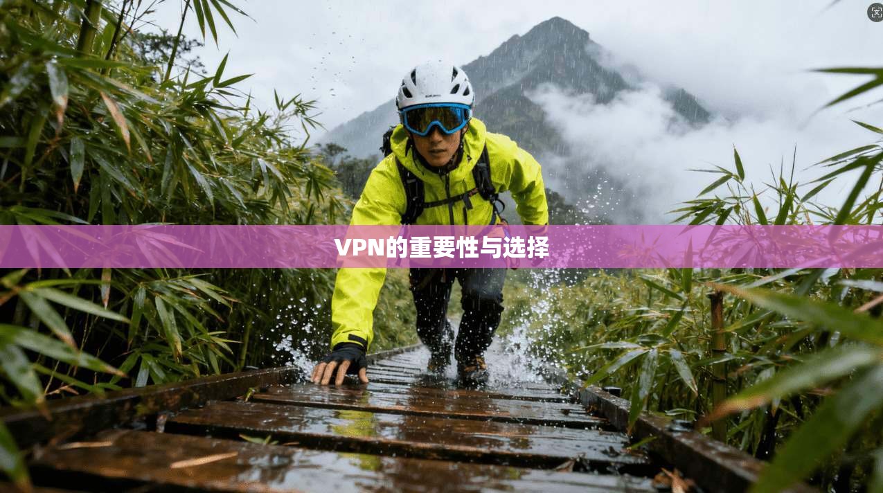 VPN的重要性与选择