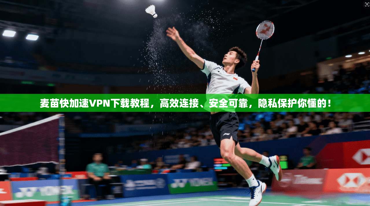 麦苗快加速VPN下载教程，高效连接、安全可靠，隐私保护你懂的！