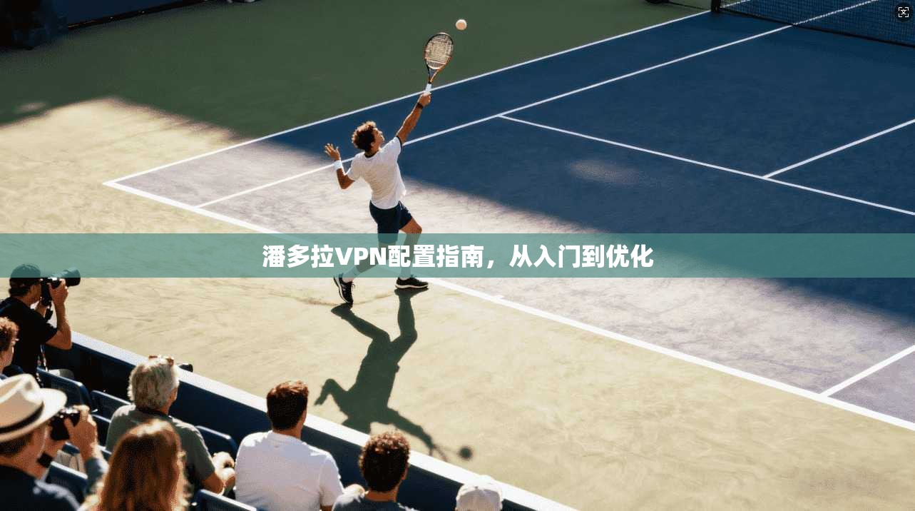 潘多拉VPN配置指南，从入门到优化