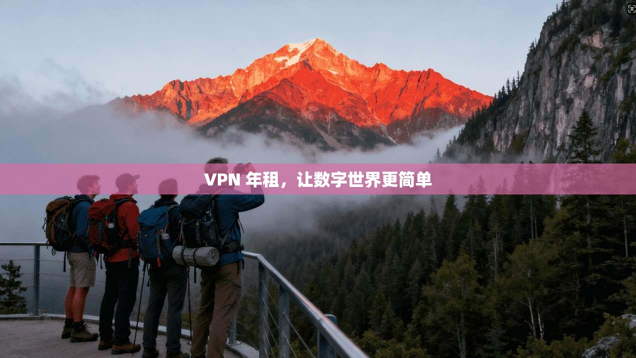 VPN 年租，让数字世界更简单