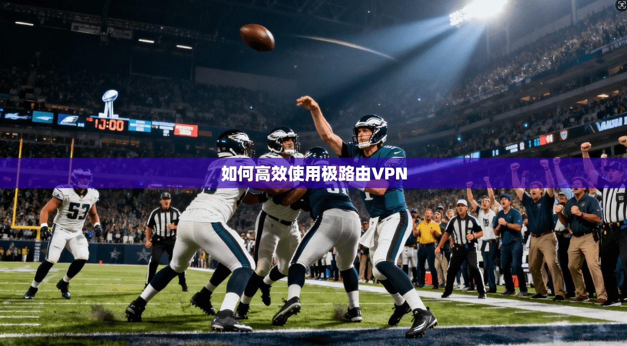 如何高效使用极路由VPN