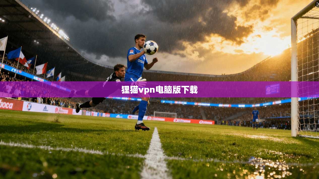 狸猫vpn电脑版下载