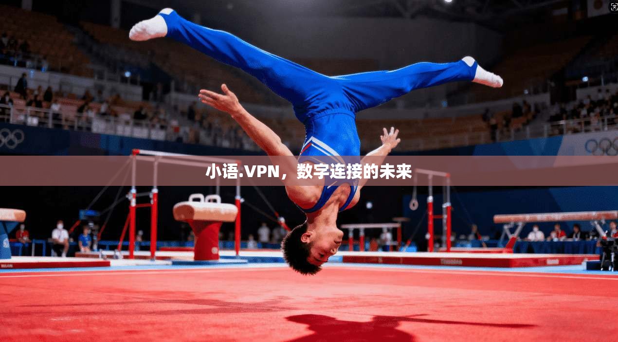 小语.VPN，数字连接的未来