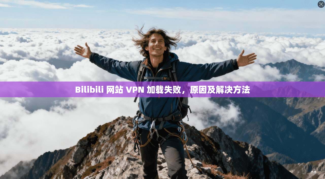 Bilibili 网站 VPN 加载失败，原因及解决方法