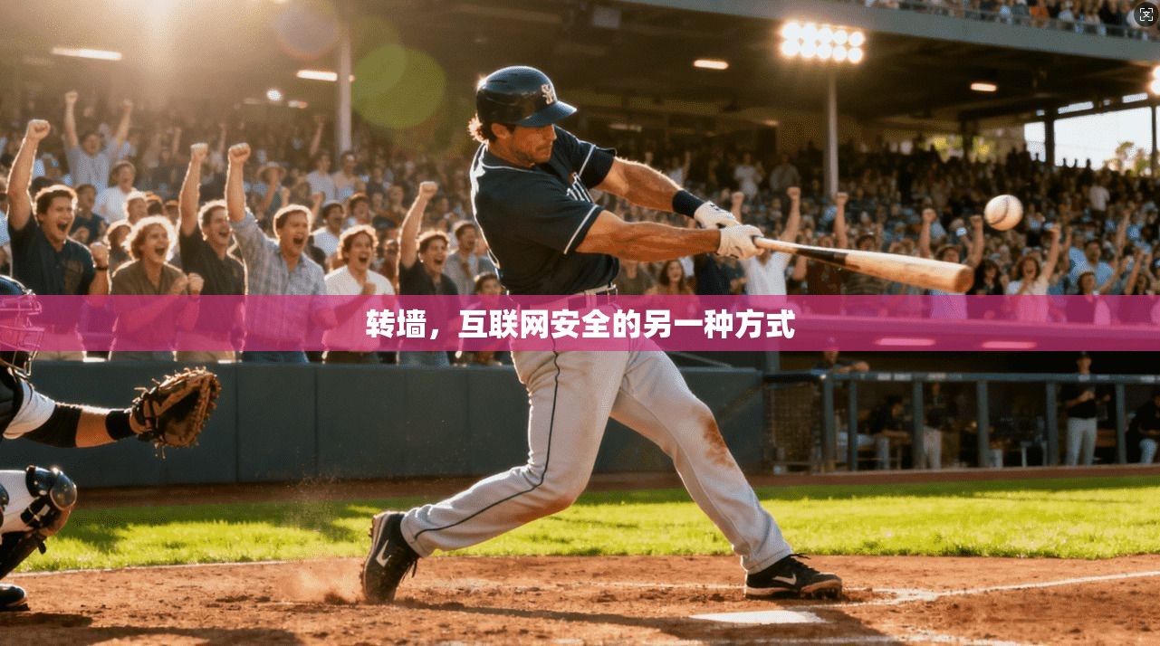 转墙，互联网安全的另一种方式