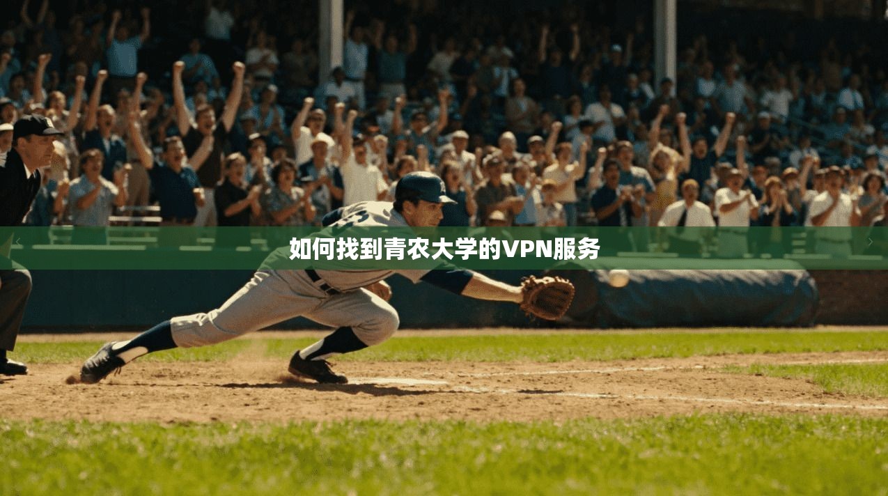 如何找到青农大学的VPN服务