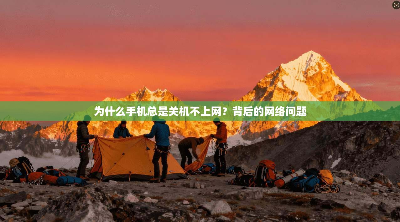 为什么手机总是关机不上网？背后的网络问题