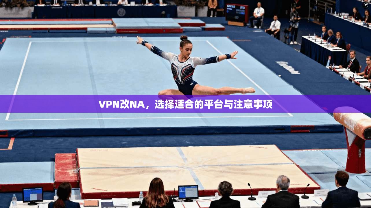 VPN改NA，选择适合的平台与注意事项