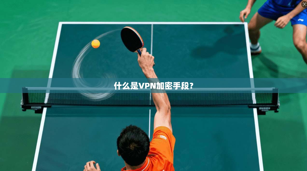 什么是VPN加密手段？