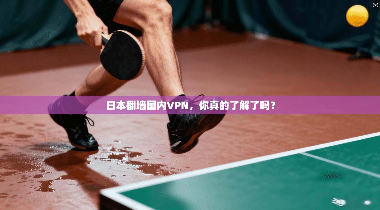 日本翻墙国内VPN，你真的了解了吗？