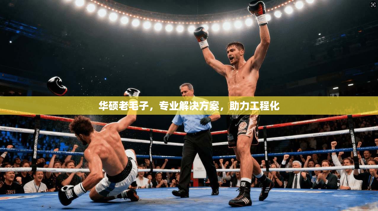 华硕老毛子,专业解决方案,助力工程化