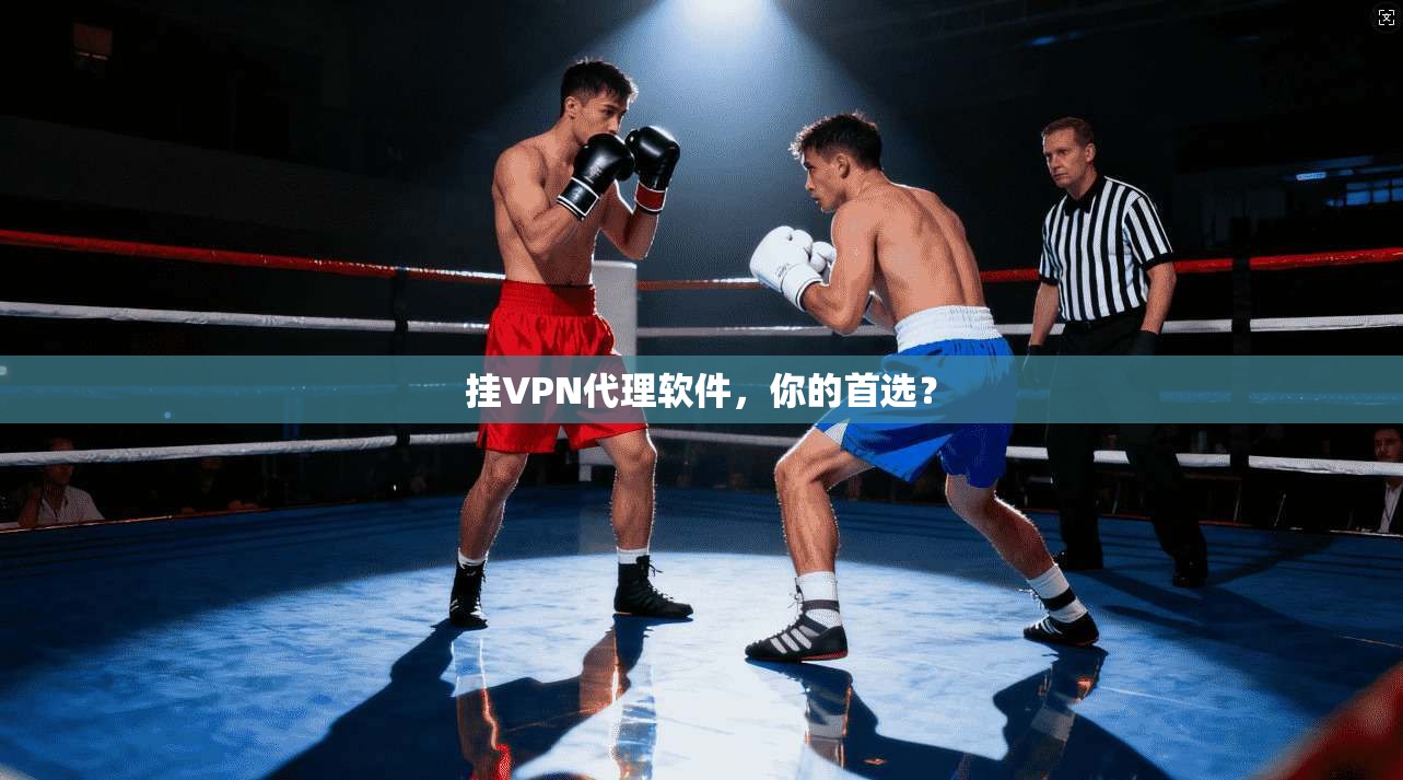 挂VPN代理软件，你的首选？