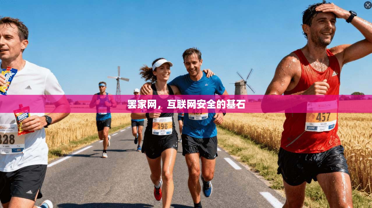 罢家网，互联网安全的基石