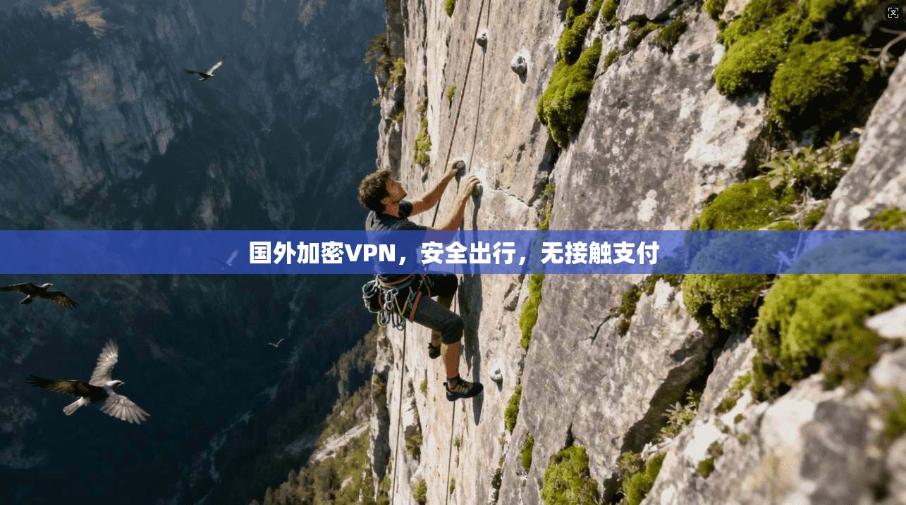 国外加密VPN，安全出行，无接触支付