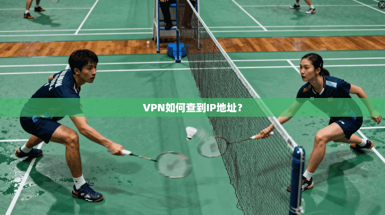 VPN如何查到IP地址？