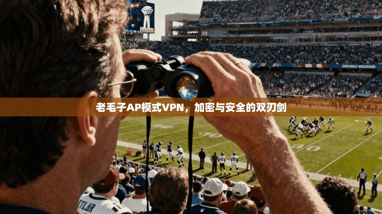 老毛子AP模式VPN，加密与安全的双刃剑