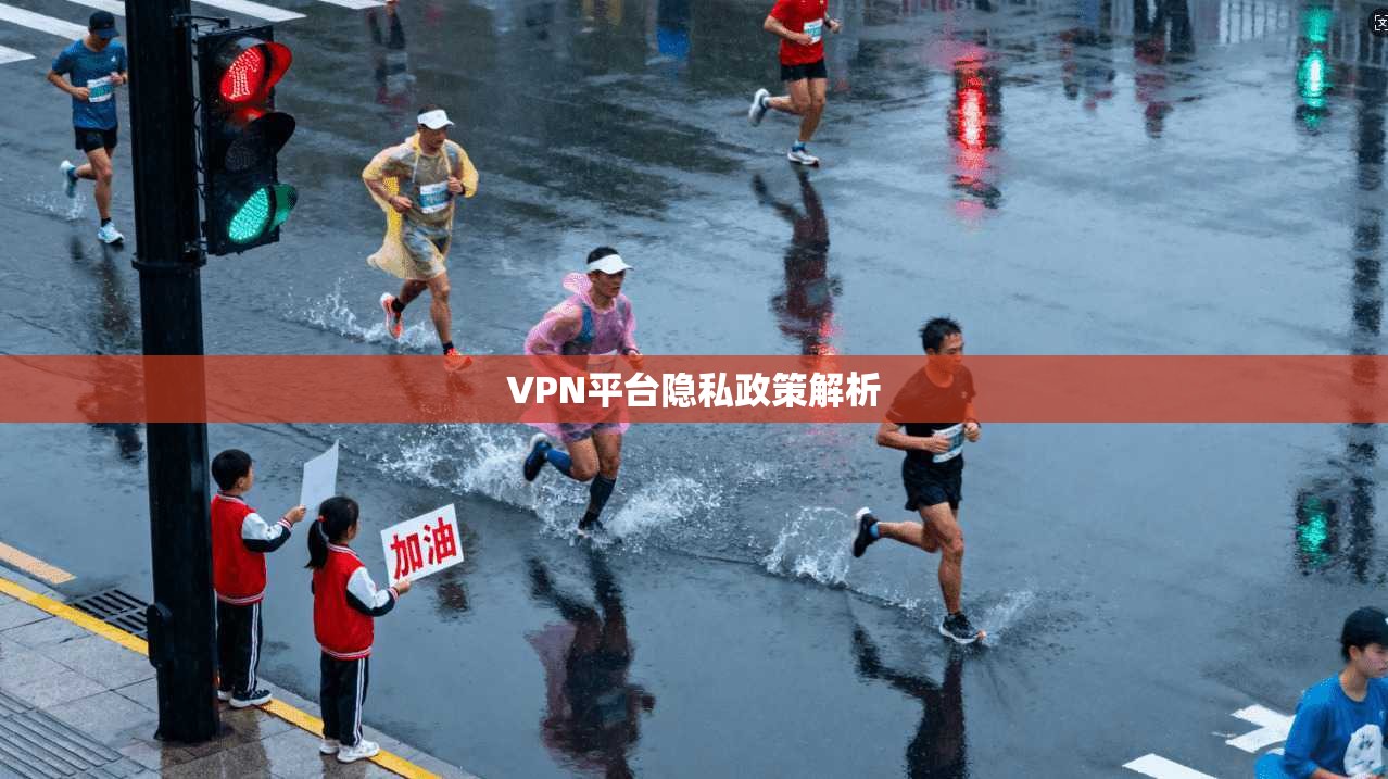 VPN平台隐私政策解析