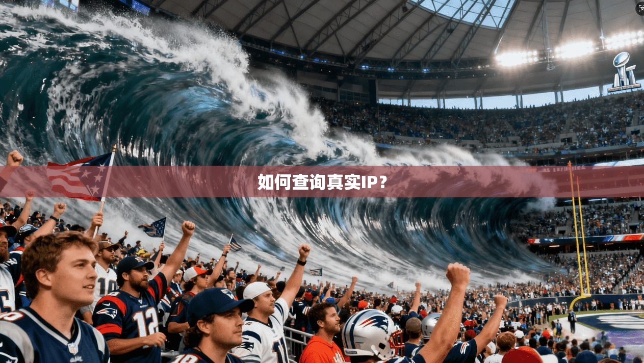 如何查询真实IP？