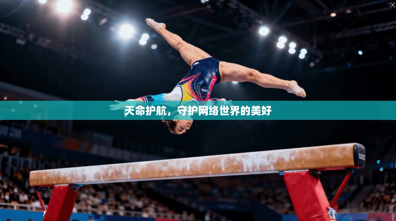 天命护航，守护网络世界的美好