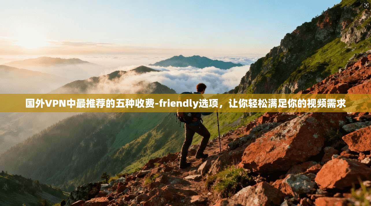 国外VPN中最推荐的五种收费-friendly选项，让你轻松满足你的视频需求
