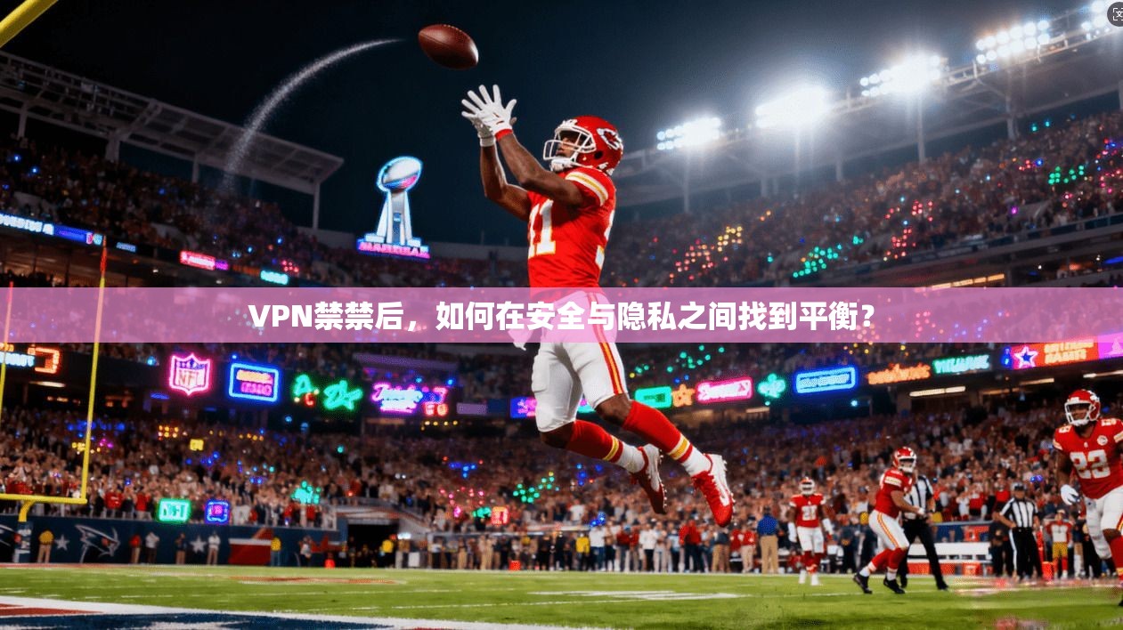 VPN禁禁后，如何在安全与隐私之间找到平衡？