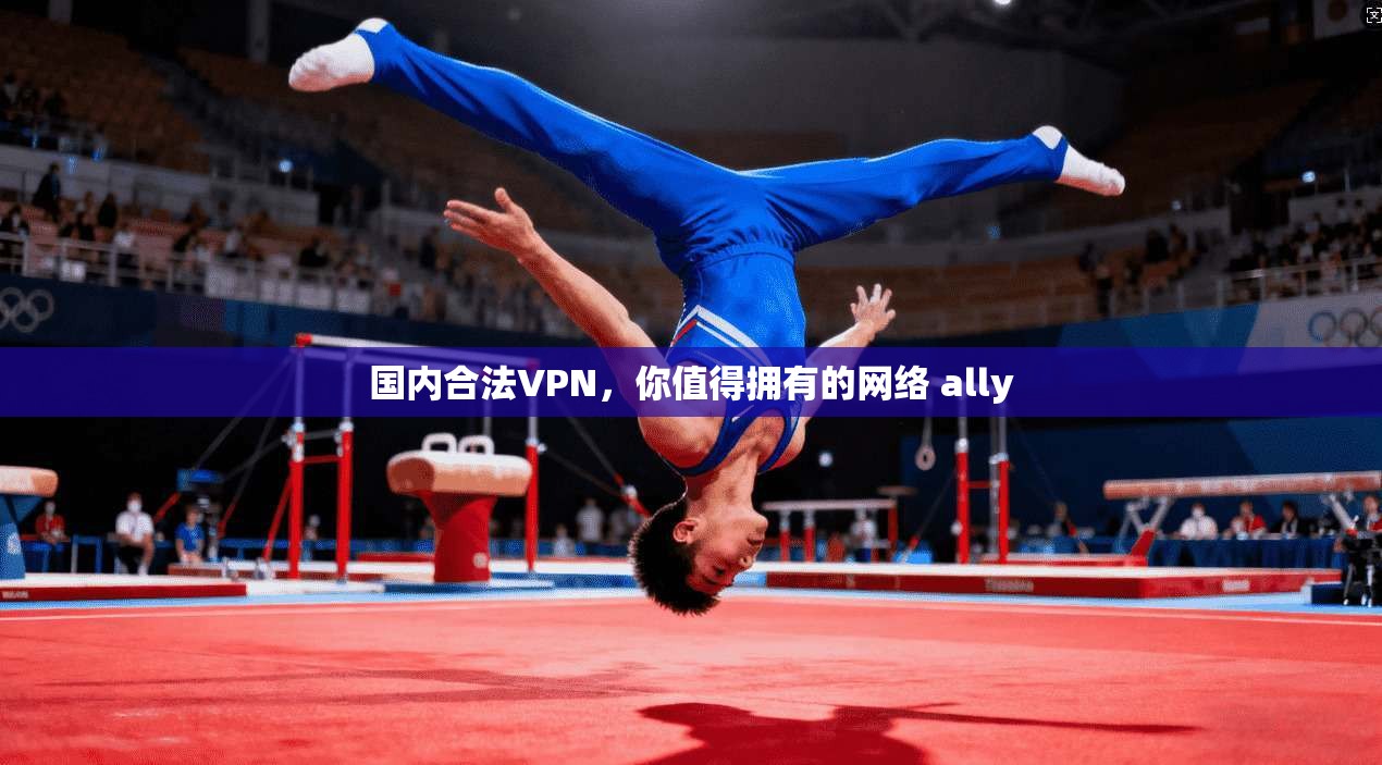 国内合法VPN,你值得拥有的网络 ally
