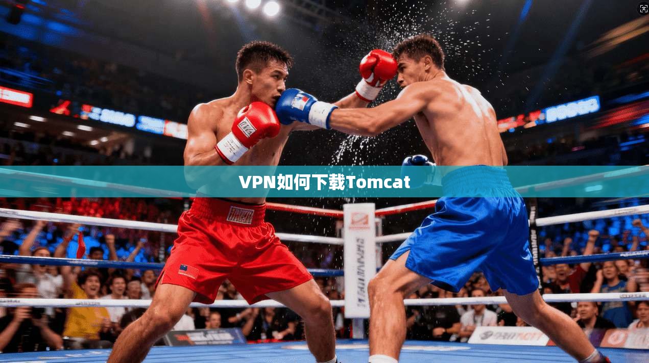 VPN如何下载Tomcat