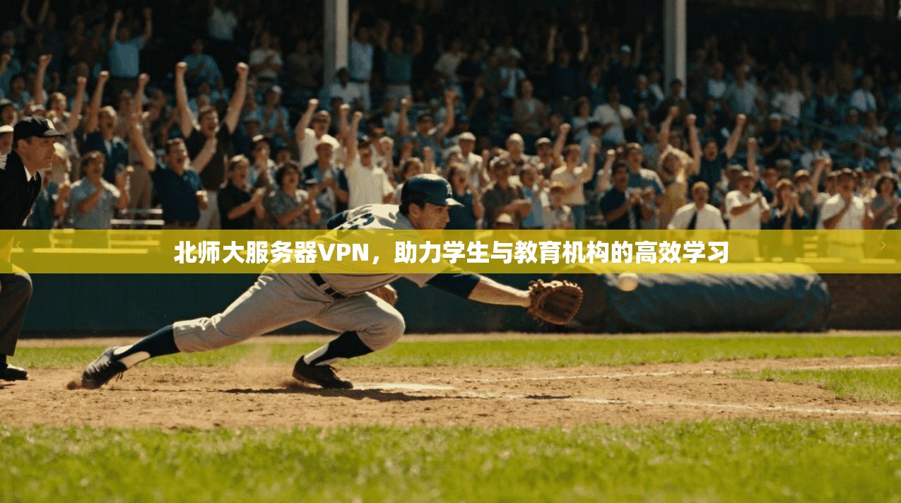 北师大服务器VPN，助力学生与教育机构的高效学习