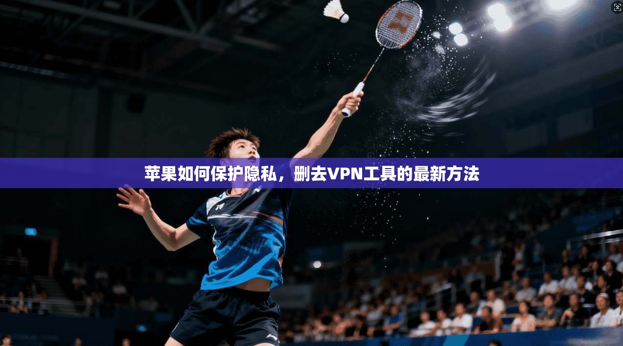 苹果如何保护隐私，删去VPN工具的最新方法