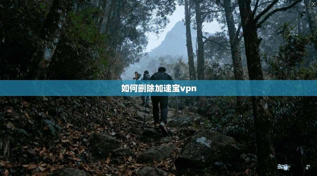 如何删除加速宝vpn