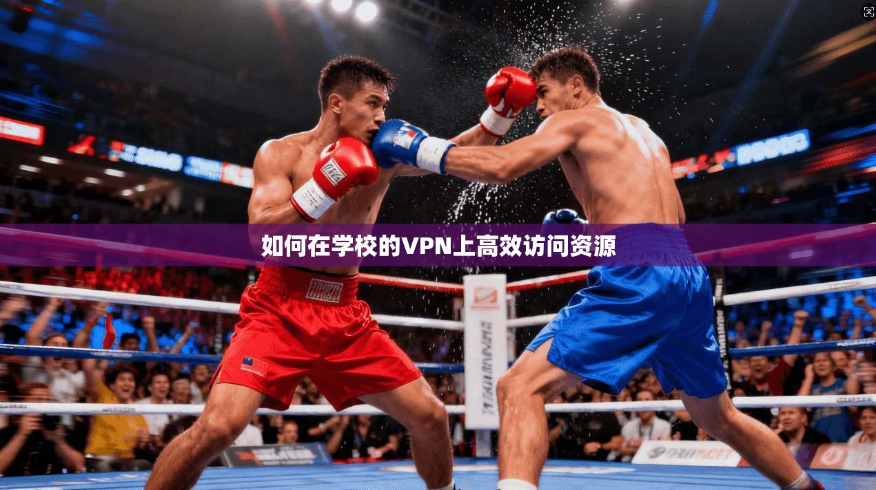 如何在学校的VPN上高效访问资源