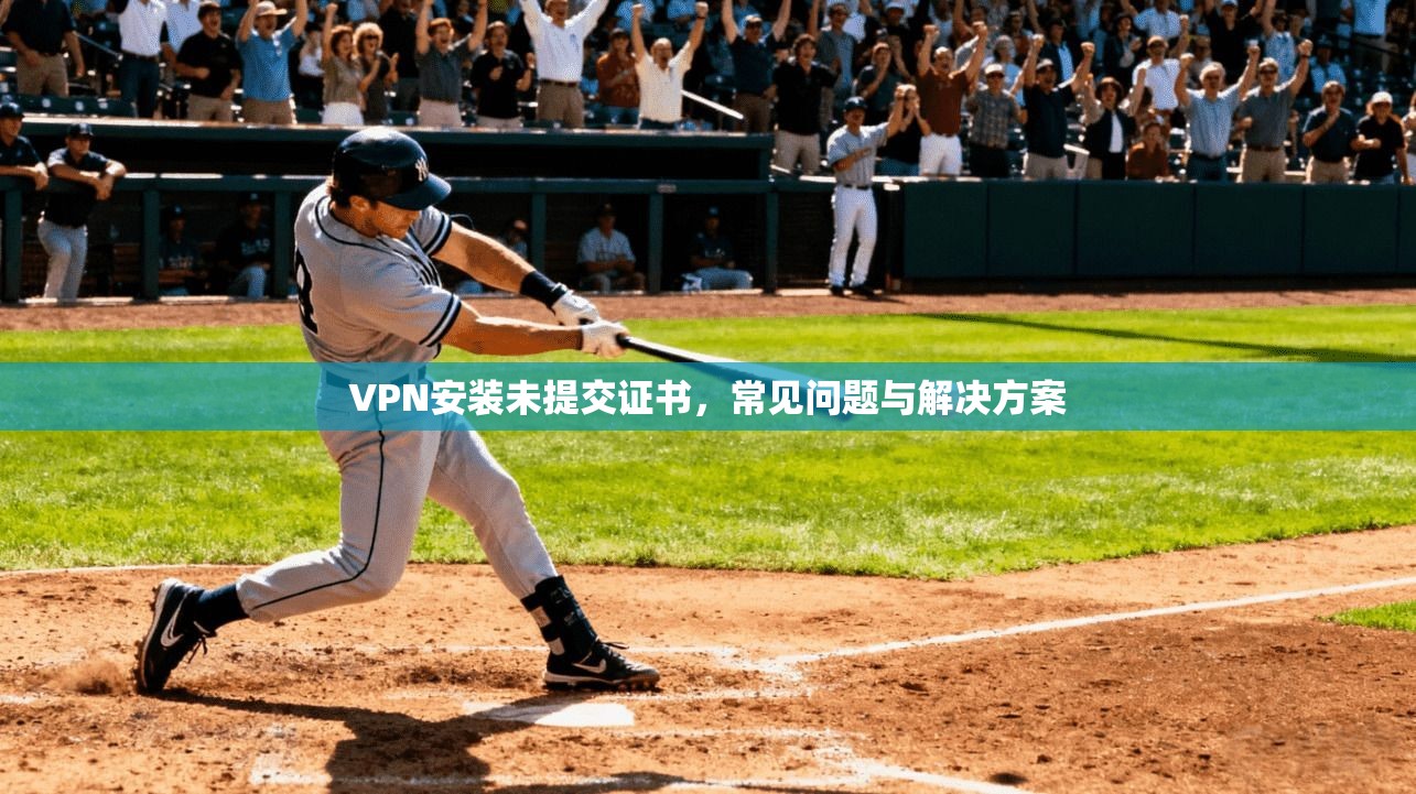 VPN安装未提交证书，常见问题与解决方案