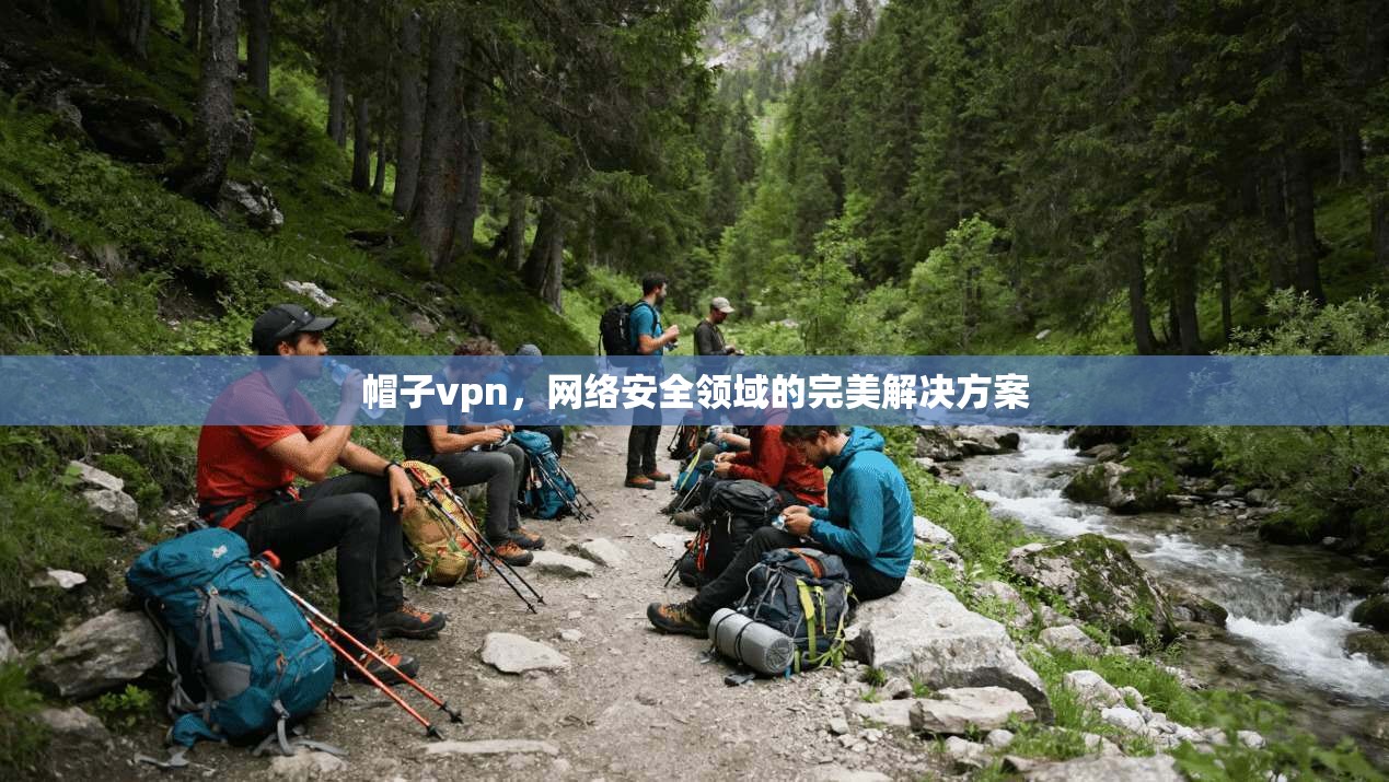 帽子vpn，网络安全领域的完美解决方案