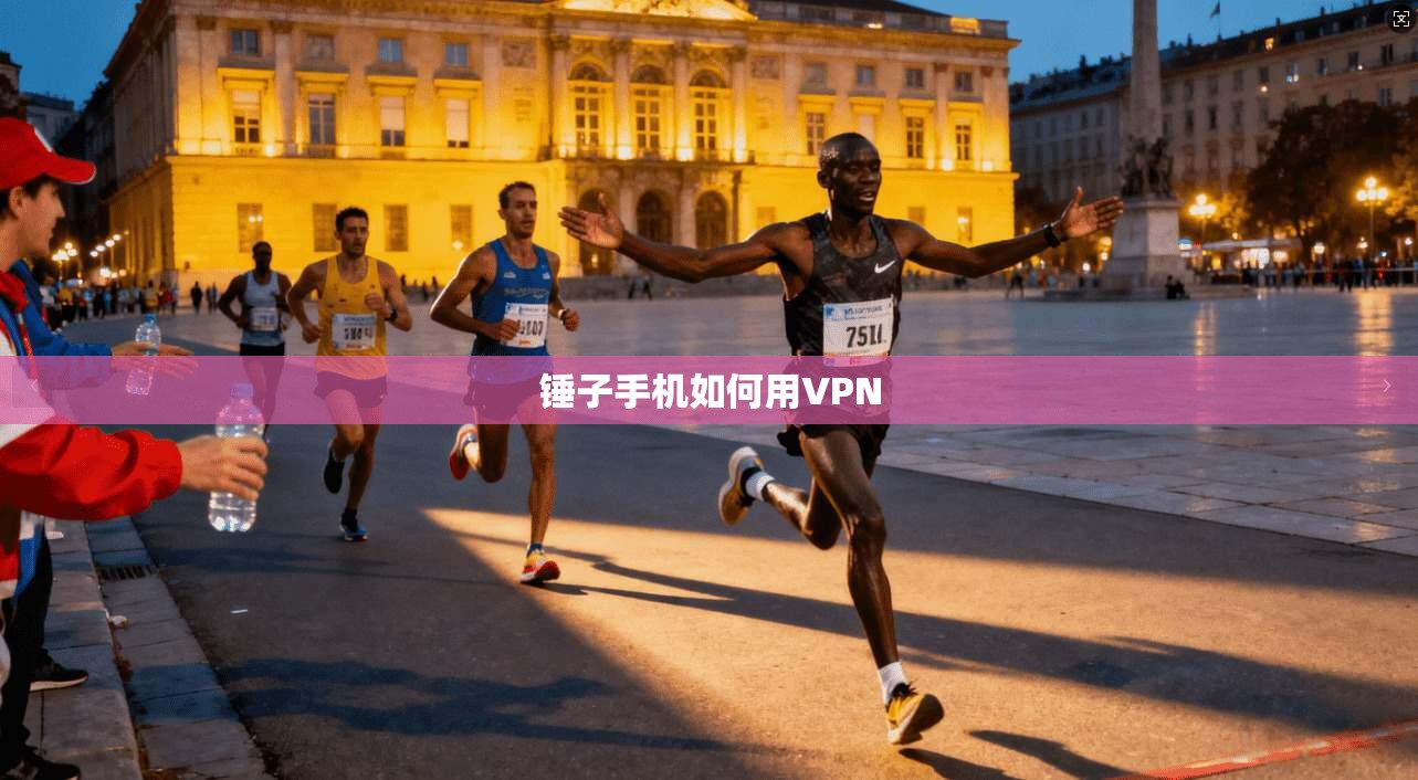 锤子手机如何用VPN