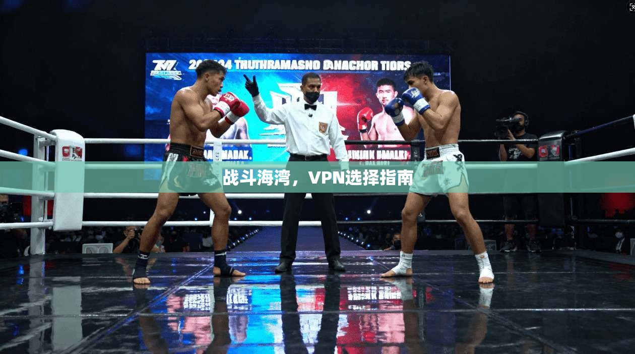 战斗海湾，VPN选择指南