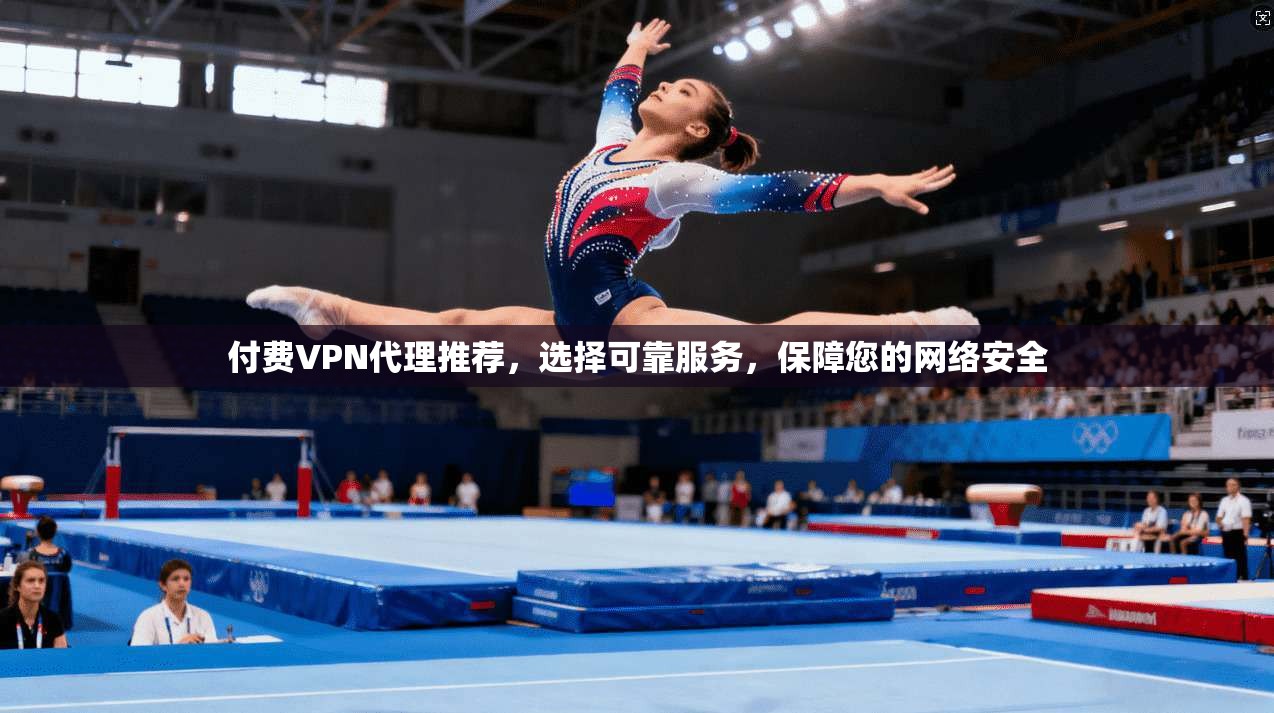付费VPN代理推荐，选择可靠服务，保障您的网络安全