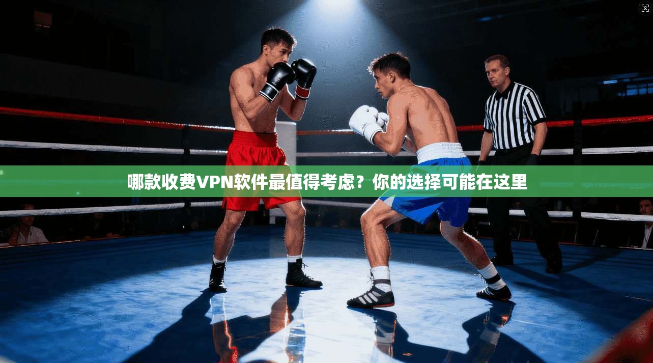 哪款收费VPN软件最值得考虑？你的选择可能在这里