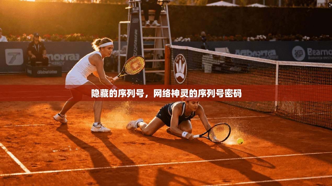 隐藏的序列号，网络神灵的序列号密码