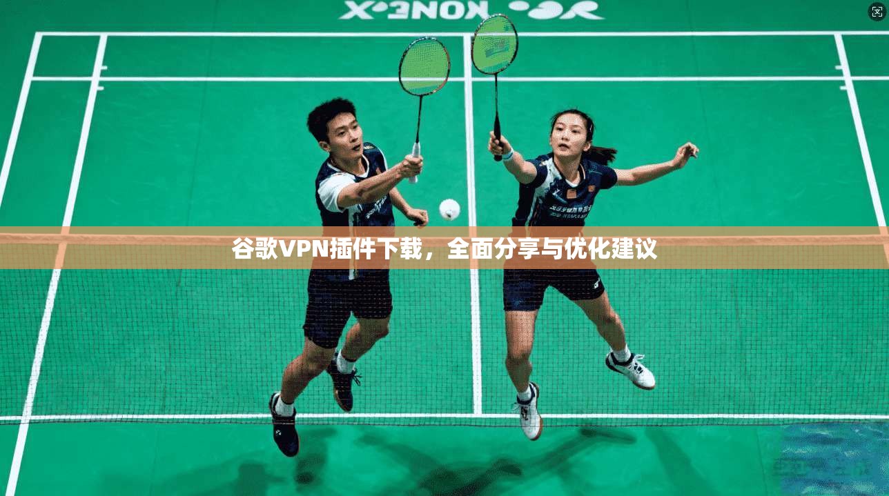谷歌VPN插件下载，全面分享与优化建议