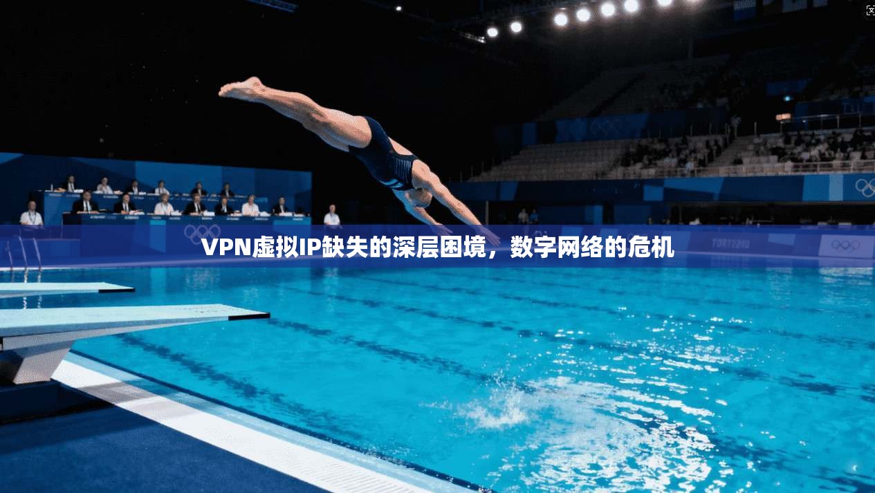VPN虚拟IP缺失的深层困境，数字网络的危机