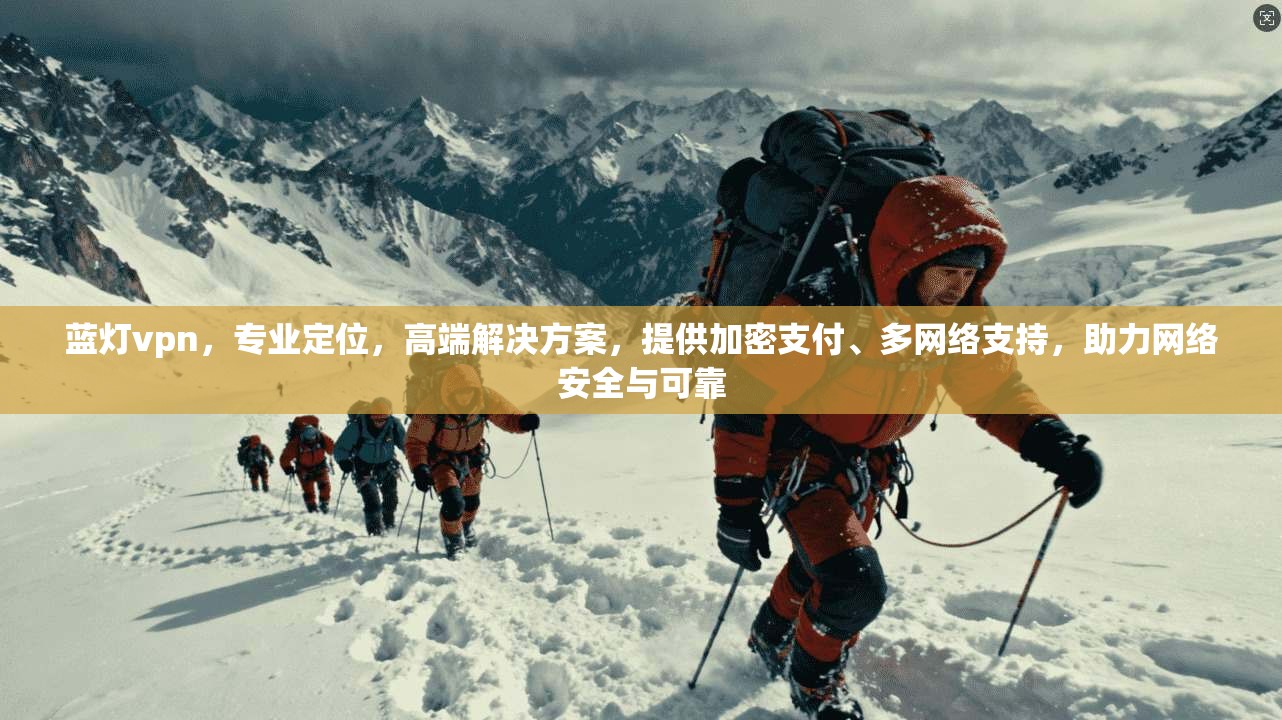 蓝灯vpn，专业定位，高端解决方案，提供加密支付、多网络支持，助力网络安全与可靠