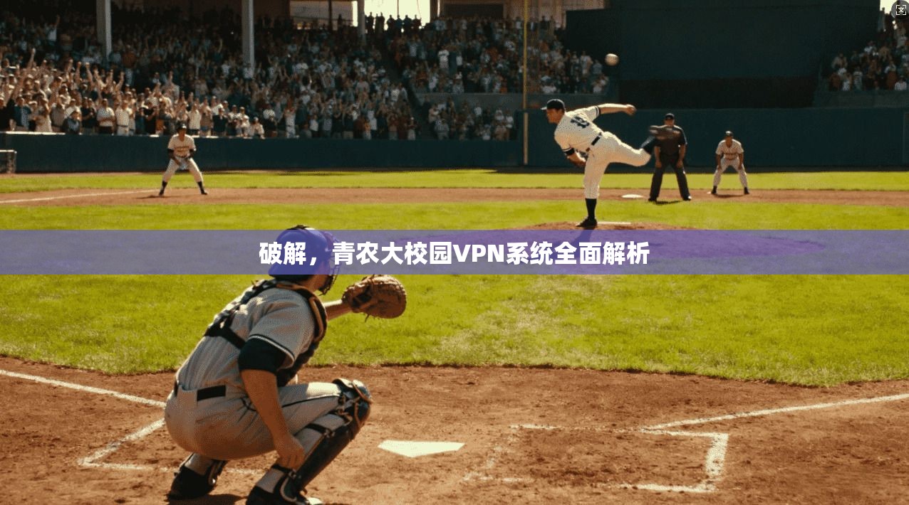 破解，青农大校园VPN系统全面解析