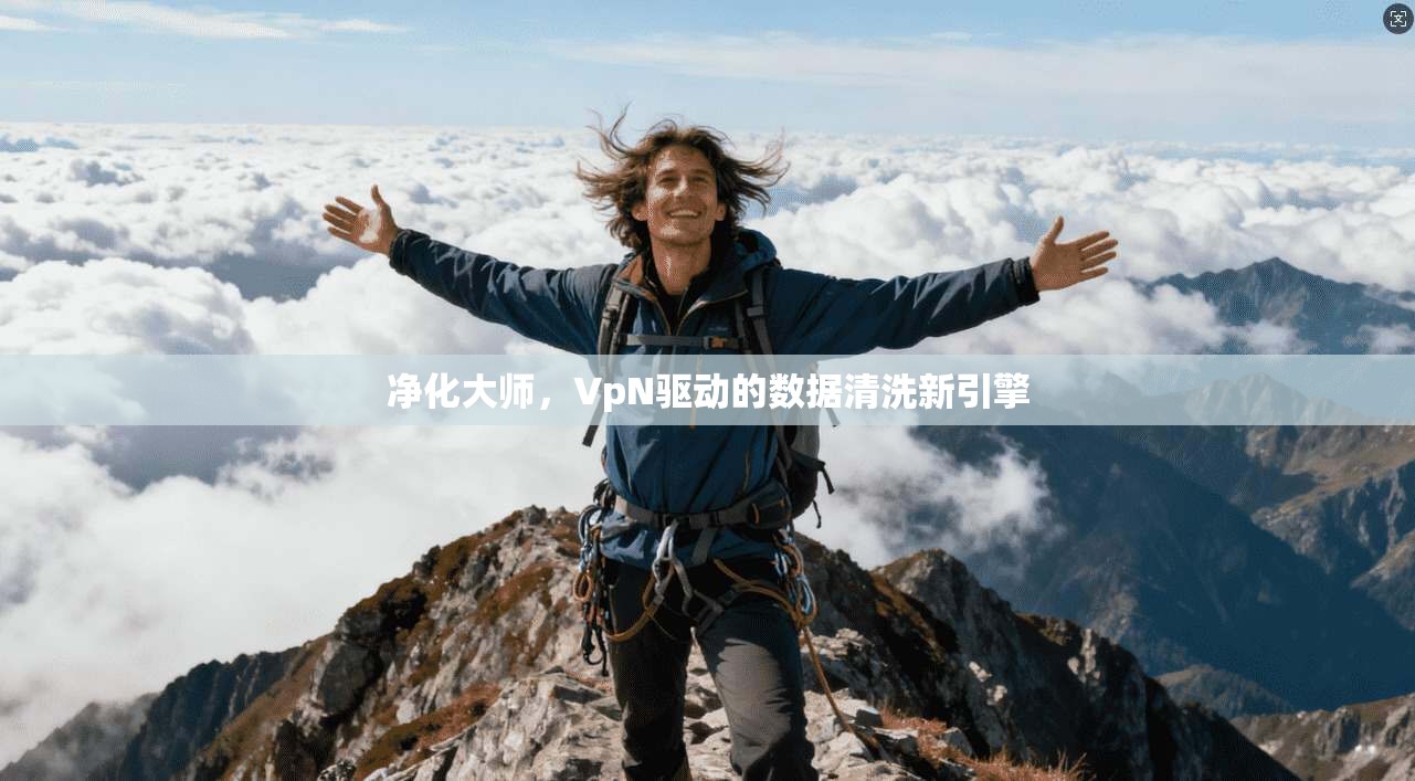 净化大师，VpN驱动的数据清洗新引擎