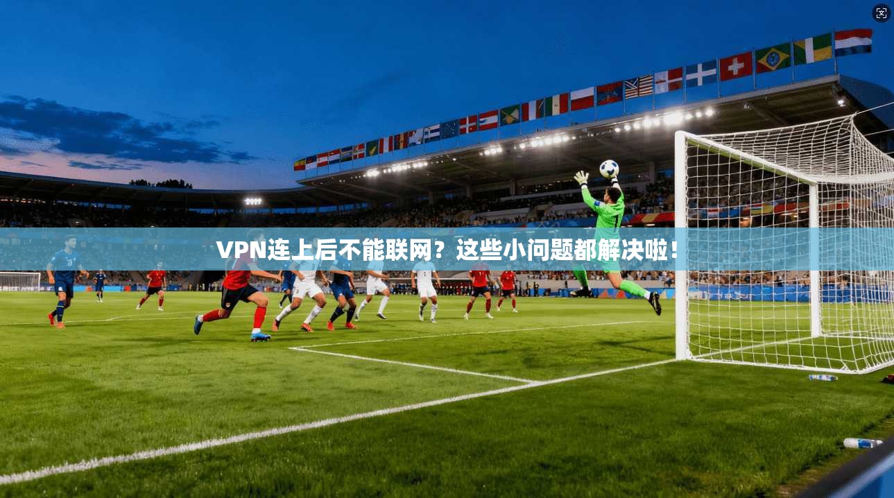 VPN连上后不能联网？这些小问题都解决啦！