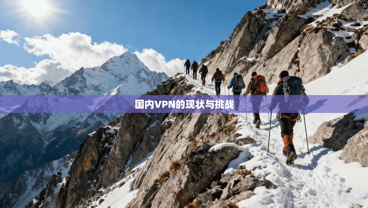 国内VPN的现状与挑战
